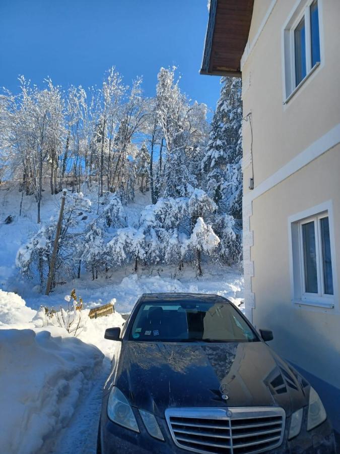 Ferienwohnung Gaensebluemchen Feistritz an der Gail Exterior foto